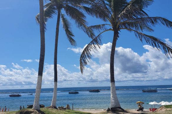 Trajeto Certo - Nacional