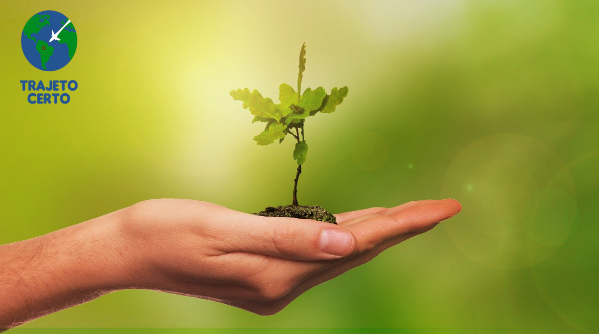 Preserve o meio ambiente