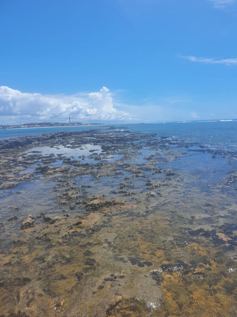A Barra de São Miguel é um mar tranquilo