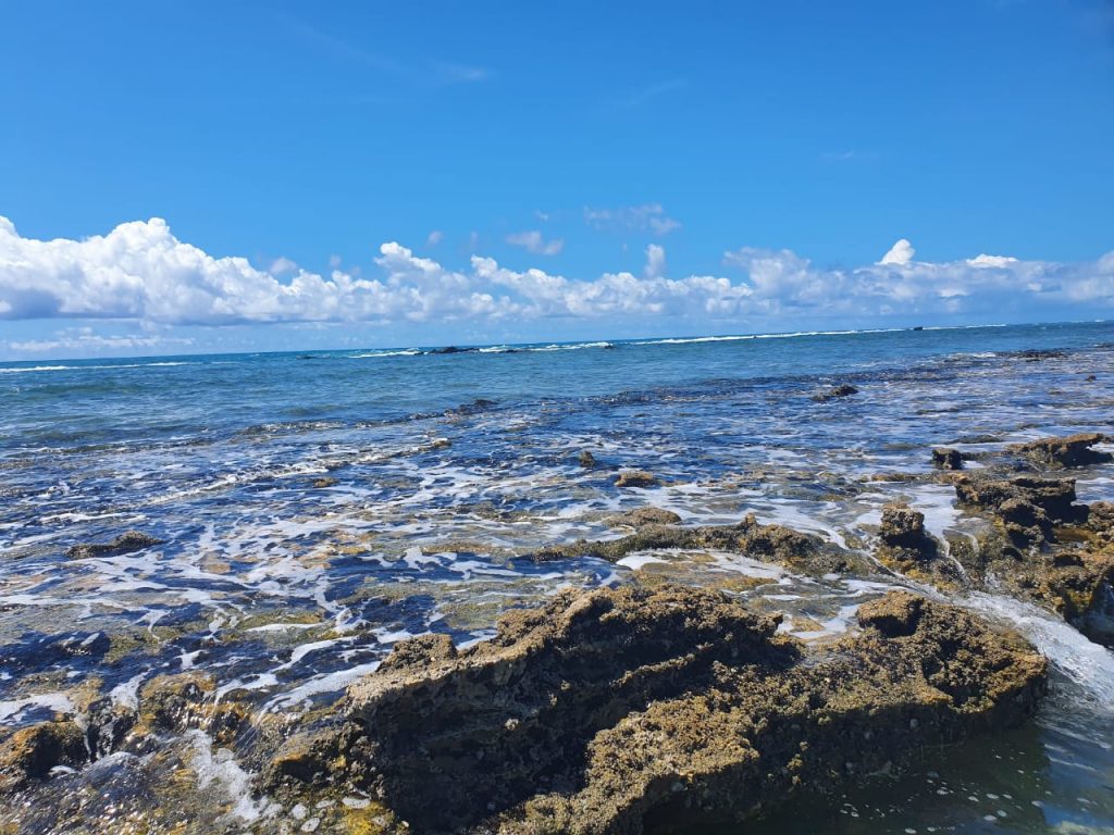 A Barra de São Miguel é um paraíso com lindos recifes de corais