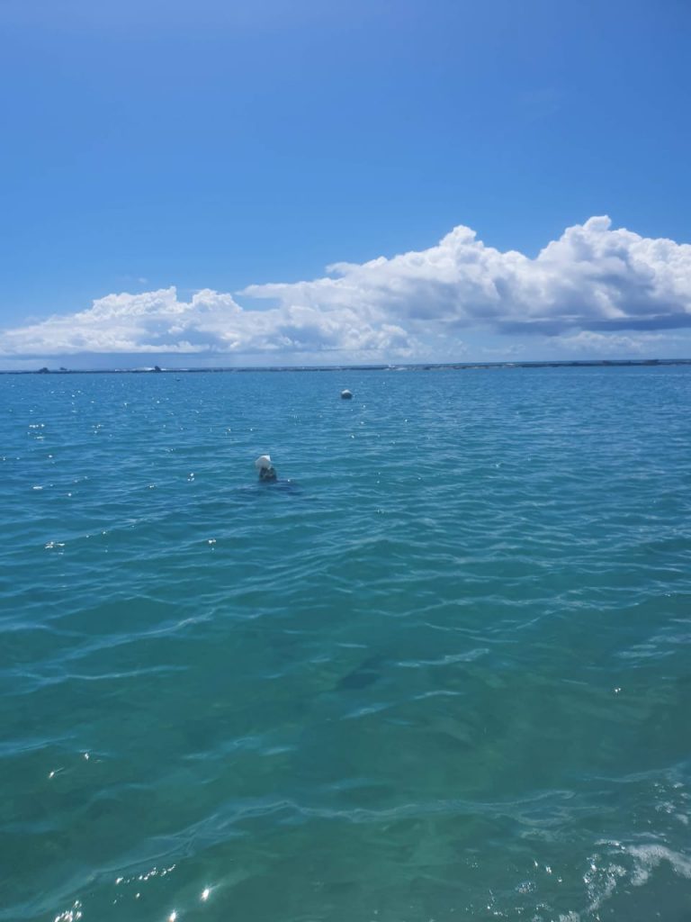 A Barra de São Miguel é um mar de águas claras