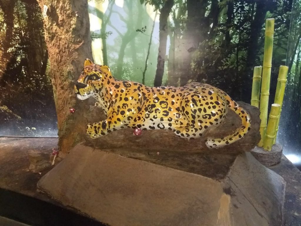 escultura de chocolate onça gramado
