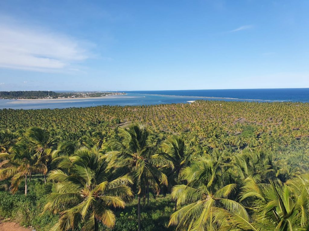 Mirante do gunga