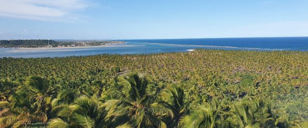 Praia do Gunga – Alagoas