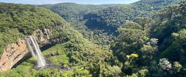 Canela – Serra Gaúcha