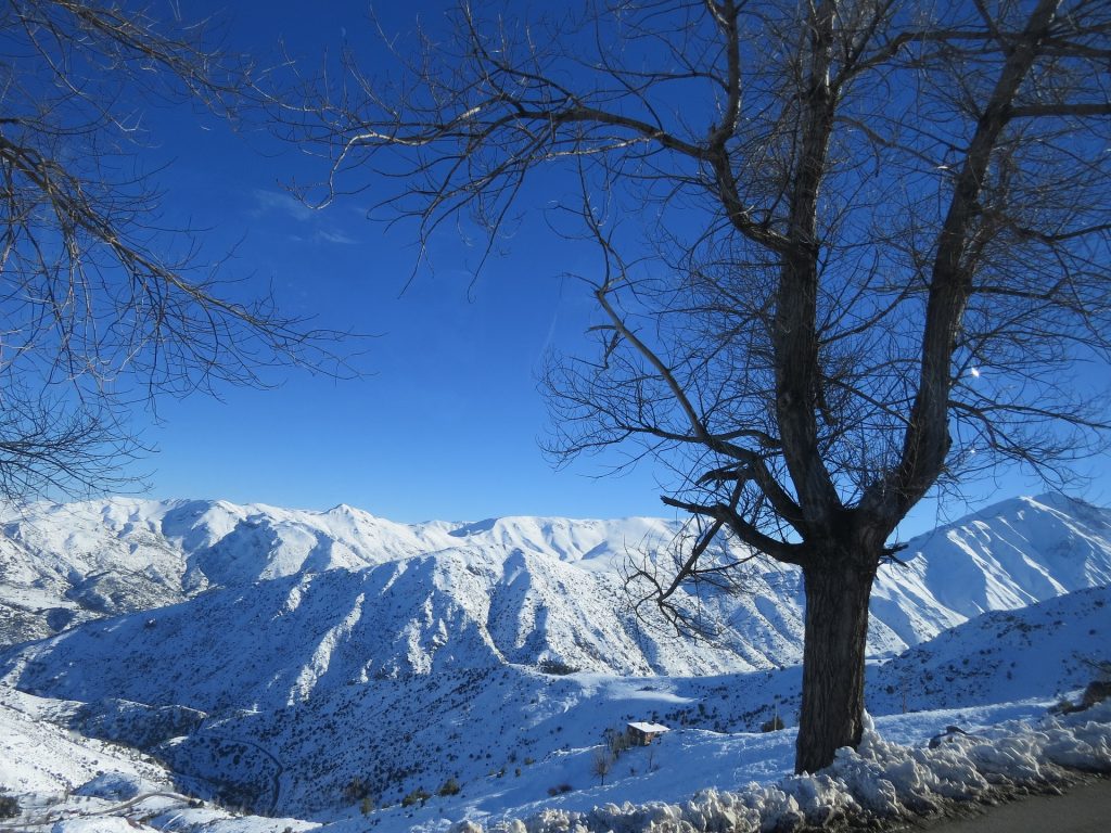 neve no chile