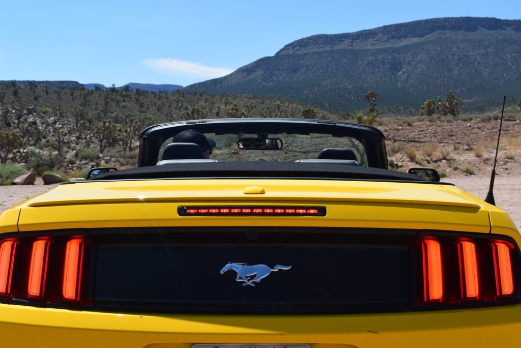 mustagn amarelo