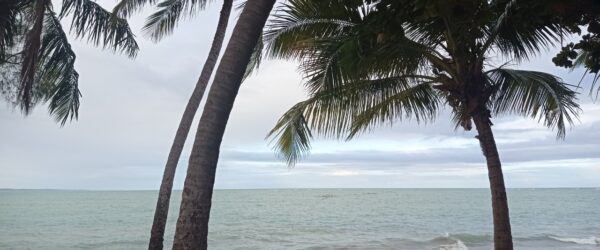 Ponta Verde: Um Paraíso Natural No Nordeste