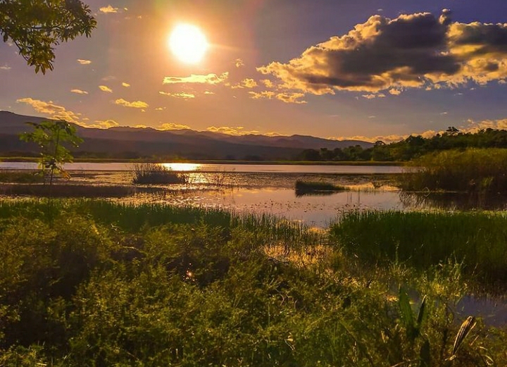 pantanal de andari